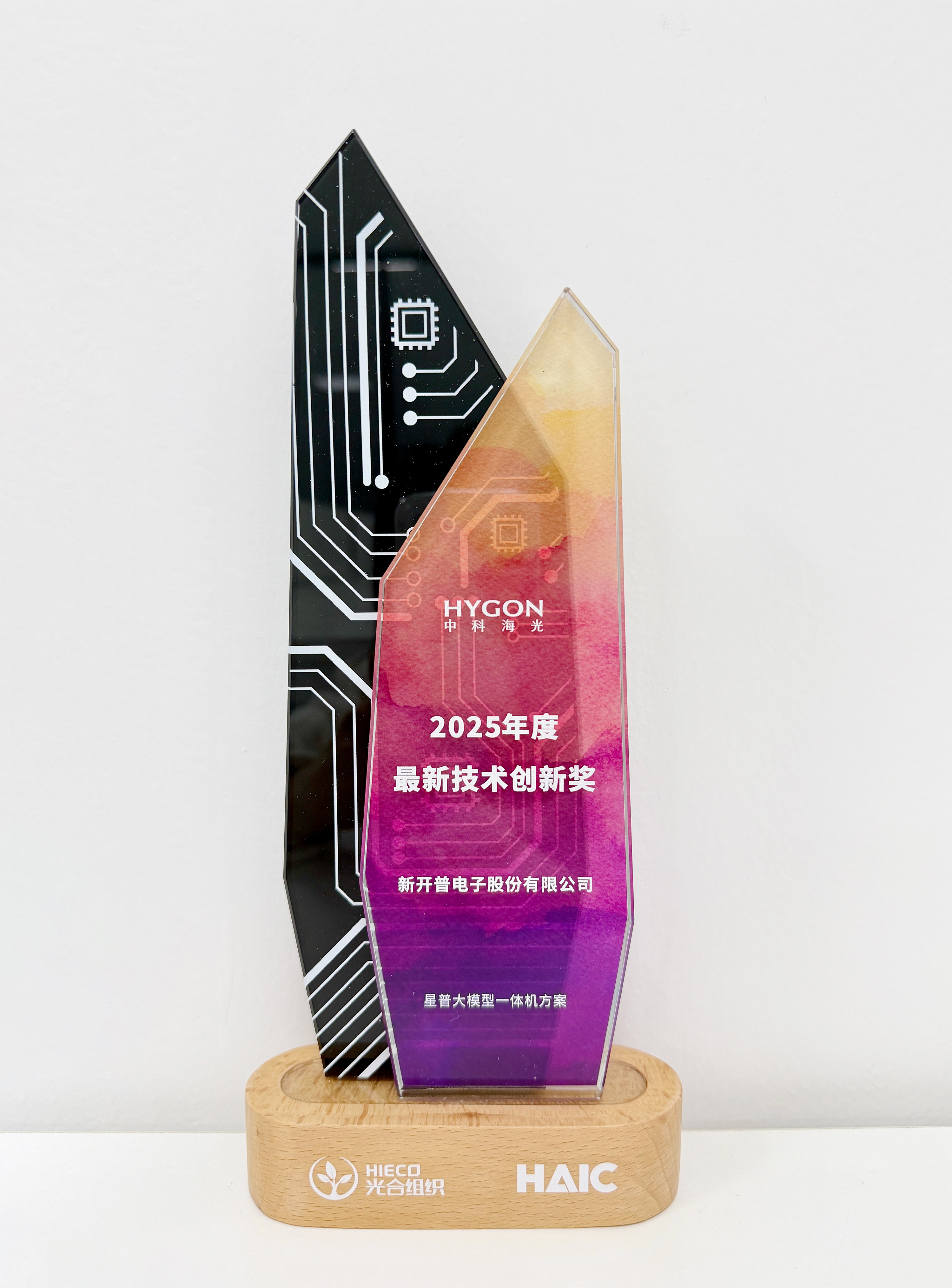 新開普“星普大模型”榮獲行業(yè)大獎(jiǎng)，攜手海光共建自主可控AI新生態(tài)(圖2)