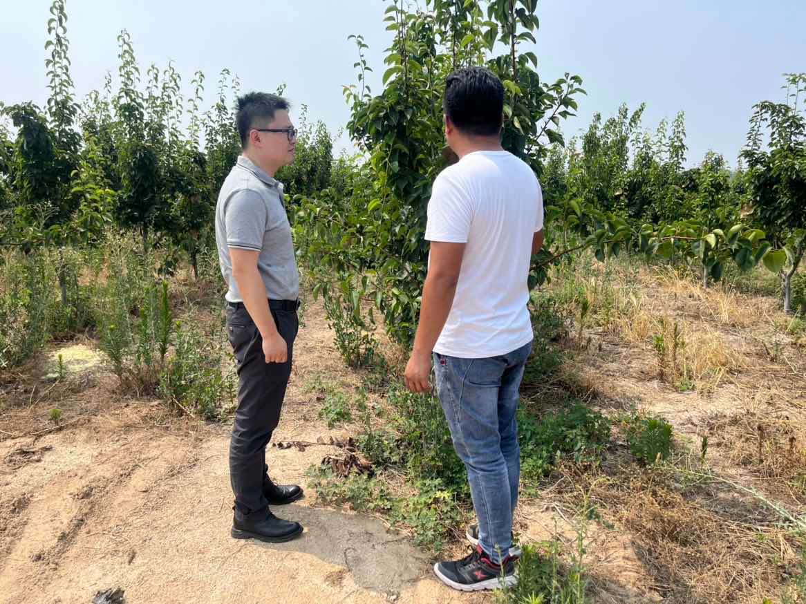 暖心！新開普為村莊捐贈(zèng)桌椅，助力鄉(xiāng)村振興(圖3)